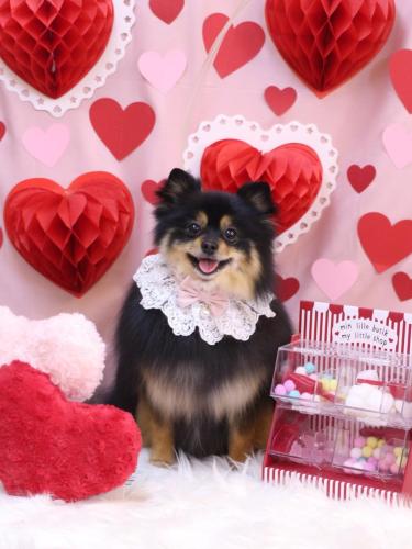 20240215アンバーちゃん